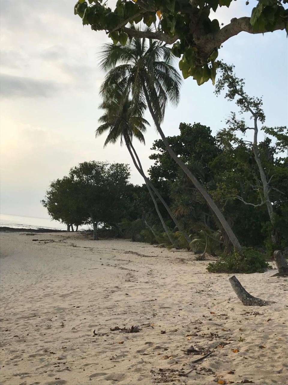 Hotel Apera Beach Front Bungalows Insel Tanna Exterior foto